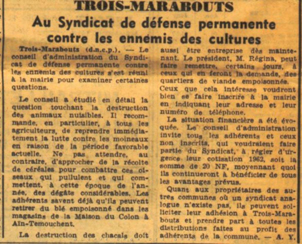 trois marabout.jpg